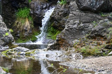 Doğal uyum içinde suyun hassas düşüşü.