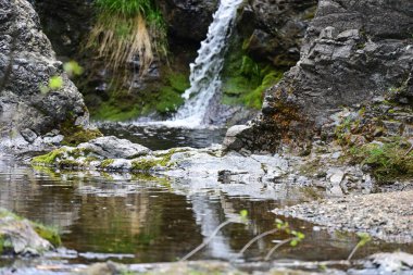 Orman taşlarıyla çerçevelenmiş saf su hareketi
