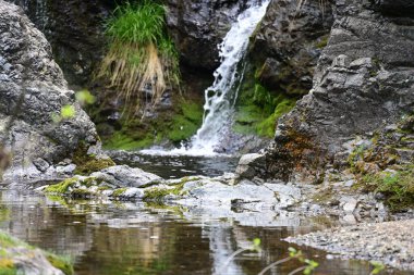 Orman taşlarıyla çerçevelenmiş saf su hareketi