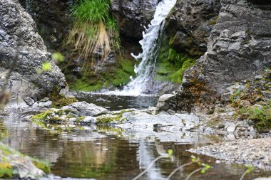Orman taşlarıyla çerçevelenmiş saf su hareketi