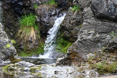 Orman taşlarıyla çerçevelenmiş saf su hareketi