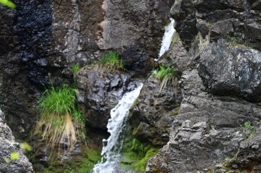 Orman taşlarıyla çerçevelenmiş saf su hareketi