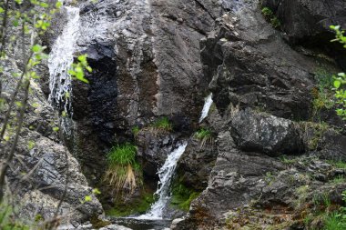 Yumuşak akarsu kayalıklardan süzülüyor