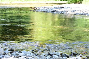 Yoğun dağ ormanlarında yumuşak bir şelale damlıyor..