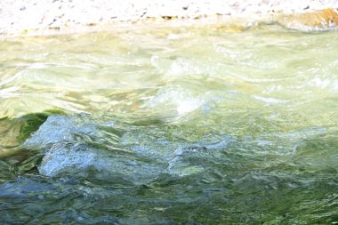 Bir dağ ormanı yumuşak, akan bir şelaleyi gizler..