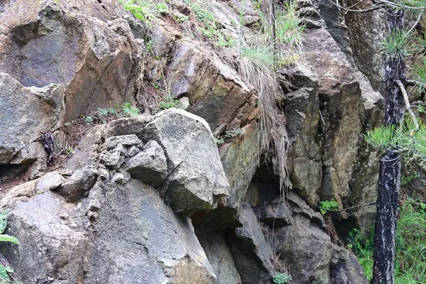 Doğanın güzel manzarası