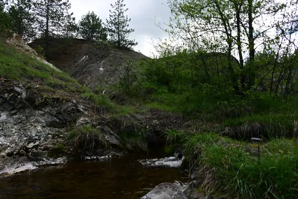 Bir dağ yamacının yeşilliğinin ortasında küçük bir su damlası..
