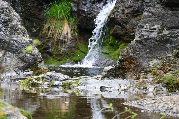 Orman taşlarıyla çerçevelenmiş saf su hareketi