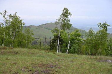Yeşil dağ ormanlarının güzel manzarası, doğa ve seyahat kavramı                              