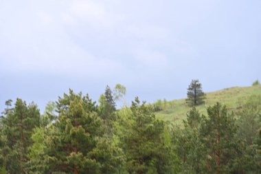 Yeşil dağ ormanlarının güzel manzarası, doğa ve seyahat kavramı                              