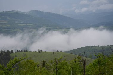Dağın tepesinden manzara