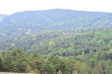 Yeşil dağ ormanlarının güzel manzarası, doğa ve seyahat kavramı                              