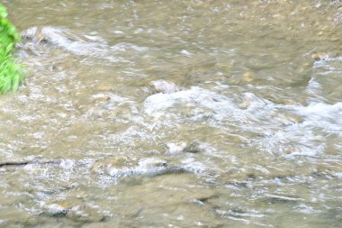 Ormandaki su akıntısı, manzarayı kapat 