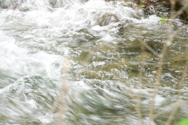 Ormandaki su akıntısı, manzarayı kapat 