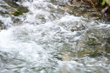 Ormandaki su akıntısı, manzarayı kapat 