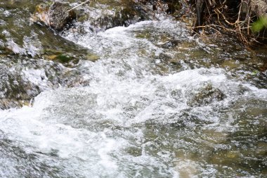 Ormandaki su akıntısı, manzarayı kapat 