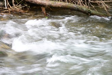 Ormandaki su akıntısı, manzarayı kapat 