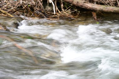 Ormandaki su akıntısı, manzarayı kapat 