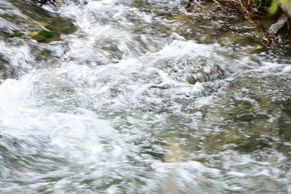 Ormandaki su akıntısı, manzarayı kapat 