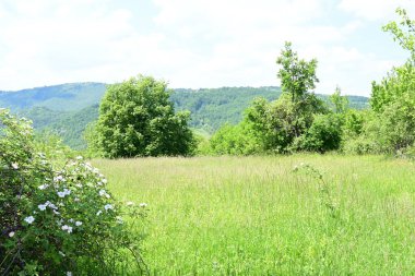 Köylü dağların manzarası