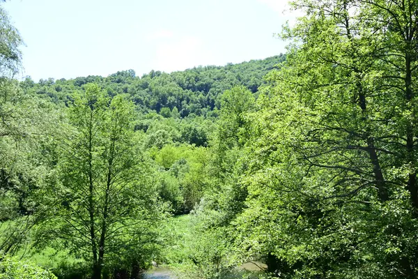 Dağlardaki nehrin güzel manzarası