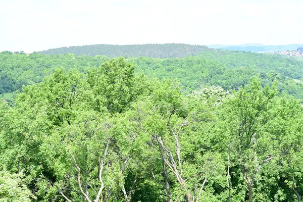 Köylü dağların manzarası