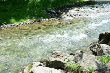 Hızlı dağ deresinin güzel manzarası            