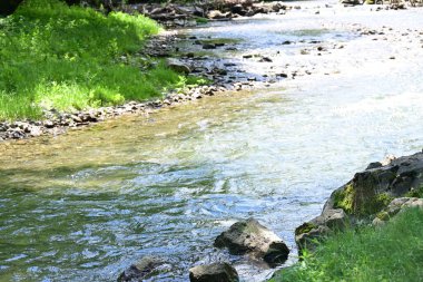 Hızlı dağ deresinin güzel manzarası            