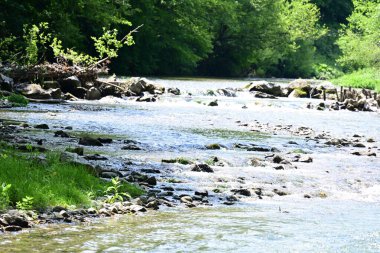 Hızlı dağ deresinin güzel manzarası            