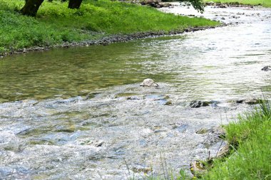 Hızlı dağ deresinin güzel manzarası            
