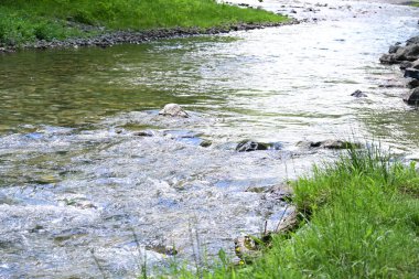 Yaz ormanlarında akan nehrin güzel manzarası