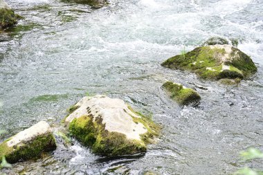 Hızlı dağ deresinin güzel manzarası            