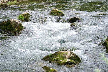 Hızlı dağ deresinin güzel manzarası            