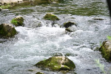 Hızlı dağ deresinin güzel manzarası            