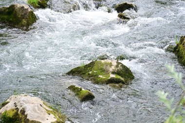 Hızlı dağ deresinin güzel manzarası            