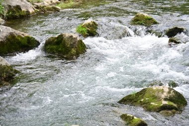 Hızlı dağ deresinin güzel manzarası            
