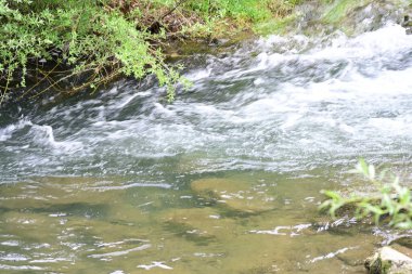Hızlı dağ deresinin güzel manzarası            