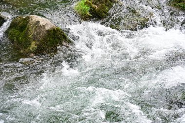 Hızlı dağ deresinin güzel manzarası            