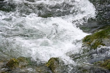 Hızlı dağ deresinin güzel manzarası            