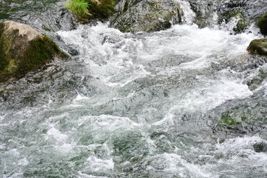 Hızlı dağ deresinin güzel manzarası            