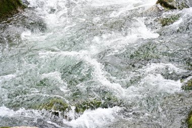 Hızlı dağ deresinin güzel manzarası            