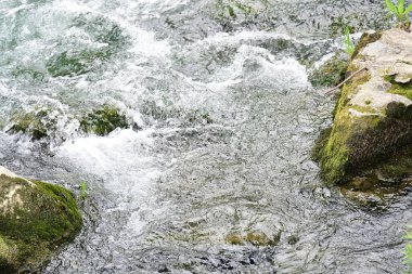 Hızlı dağ deresinin güzel manzarası            
