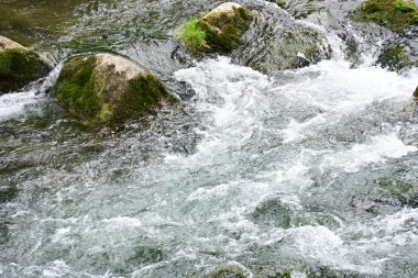 Hızlı dağ deresinin güzel manzarası            