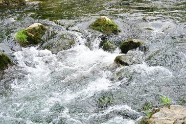 Hızlı dağ deresinin güzel manzarası            