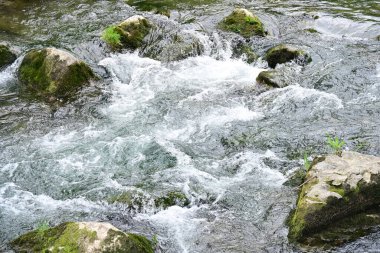 Hızlı dağ deresinin güzel manzarası            