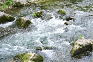Hızlı dağ deresinin güzel manzarası            