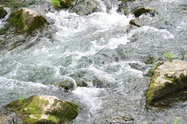 Hızlı dağ deresinin güzel manzarası            