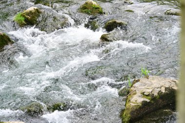 Hızlı dağ deresinin güzel manzarası            