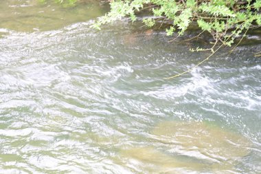 Hızlı dağ deresinin güzel manzarası            