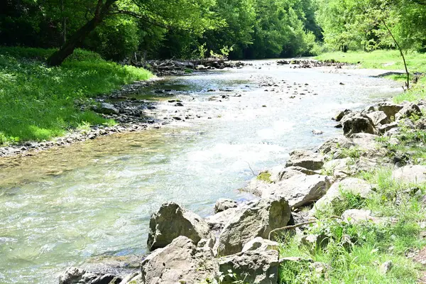 Hızlı dağ deresinin güzel manzarası            